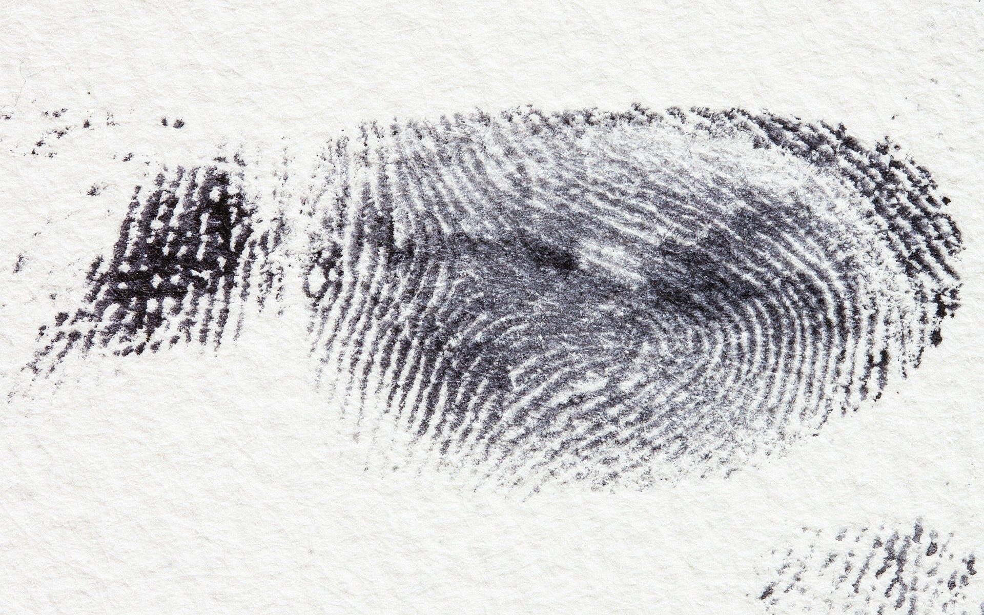 fingerprint 255897 1920 1